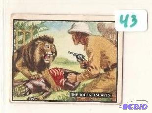 1950 Trading Card Bring Em Back Alive