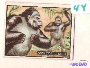 1950 Trading Card Bring Em Back Alive