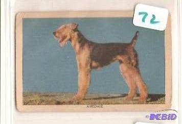 1949 Sgt. Preston Challenge of the Yukon Dog Card