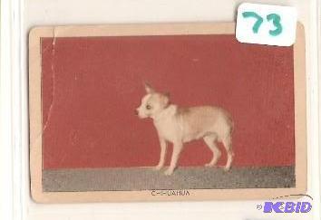 1949 Sgt. Preston Challenge of the Yukon Dog Card