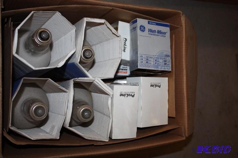 Lot of (20) Miscellaneous Light Bulbs Including Watt-Miser Incandescent Lamp, 130V Frosted Lights
