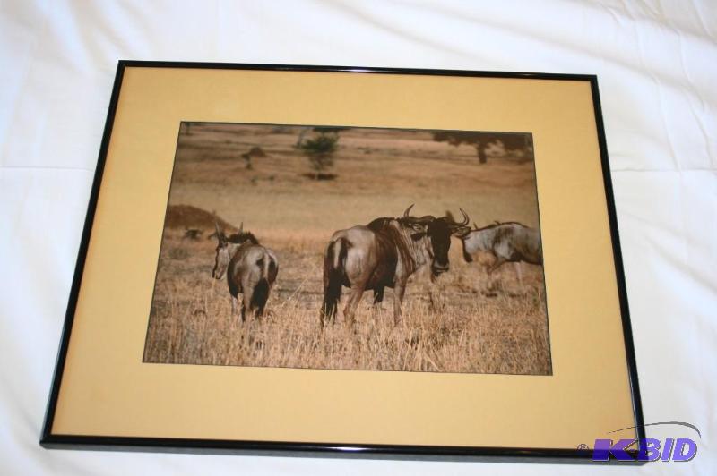 Framed Art