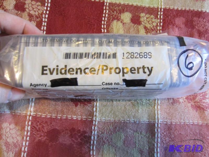 21 COINS IN SLABS IN EVIDENCE BAG