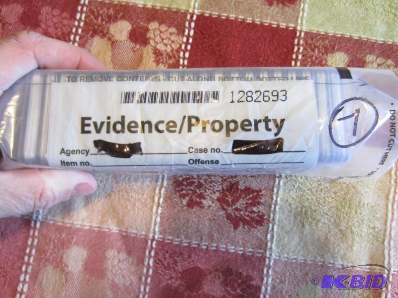 21 COINS IN SLABS IN EVIDENCE BAG