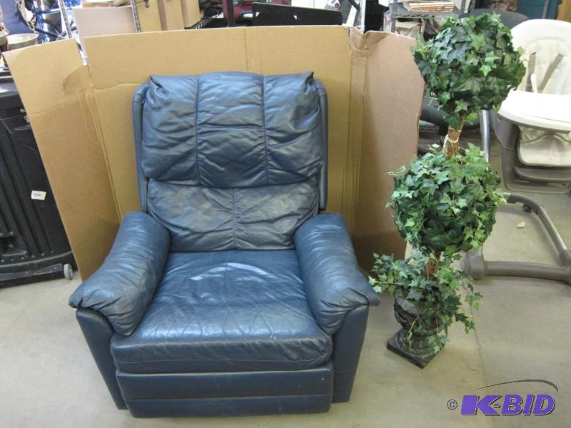 Recliner and Decorative Plant