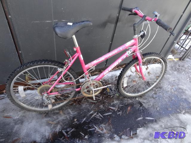 lot 188 image: Magna Glacier Point 12 Speed Bike...