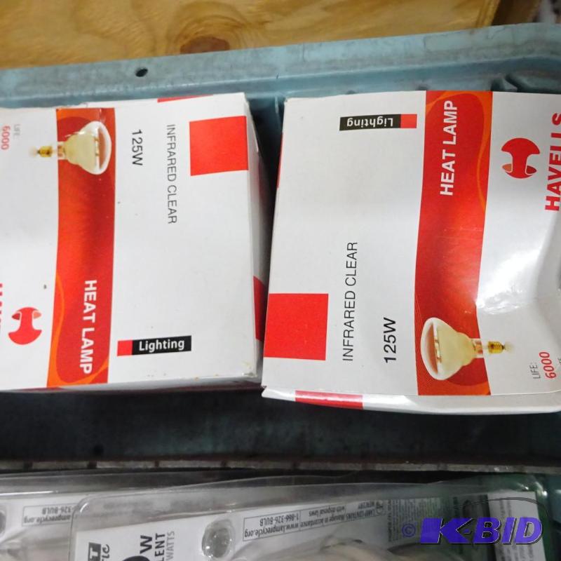 lot 207 image: New quantity 3 Havells brand heat lamp bulbs....