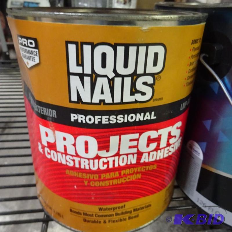 lot 286 image: New gallon can Liquid Nails Professional Proj...