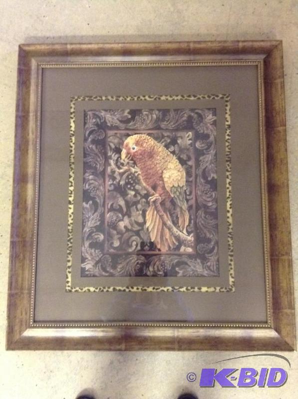 Framed print of parrot