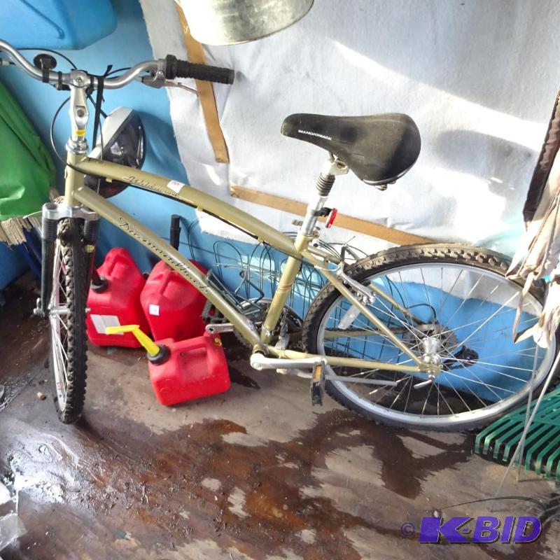 lot 269 image: Wild Wood Deluxe Diamond Back 24 Speed Bike...