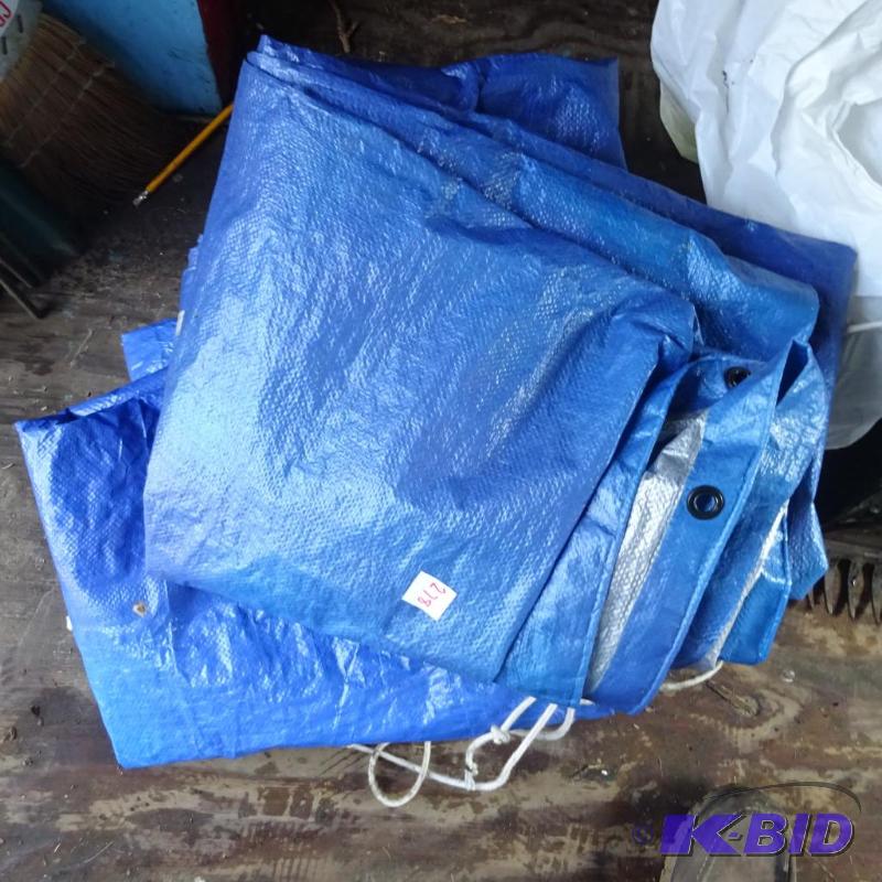lot 278 image: 2 Tarps...
