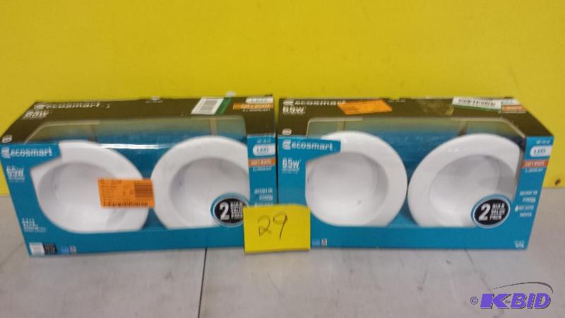 lot 29 image: Lot of 2 Echosmart 65W