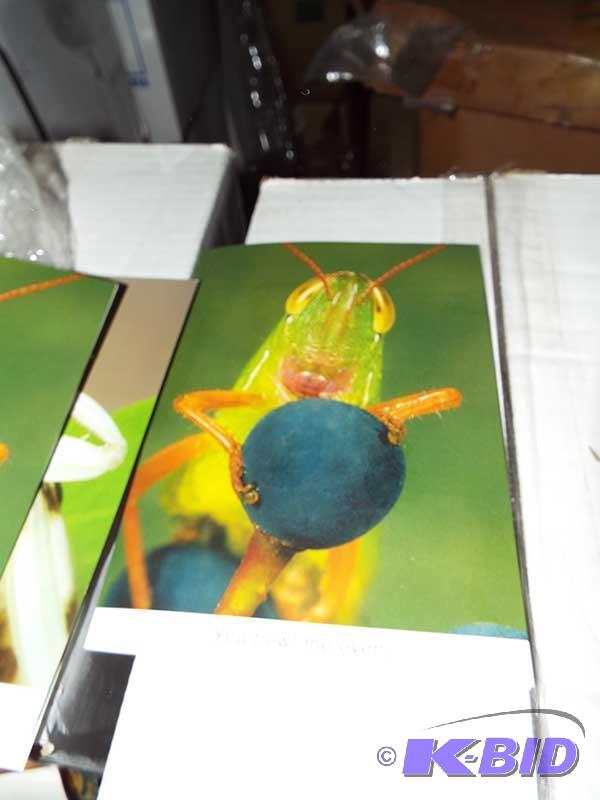 Bulk FrogBug Cards
