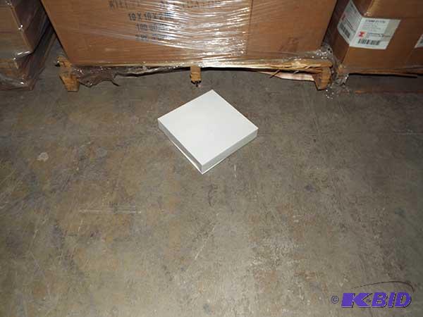 White Alligator Popup Boxes