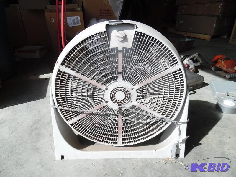 Fan