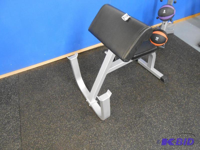lot 23 image: Preacher Curl Bench