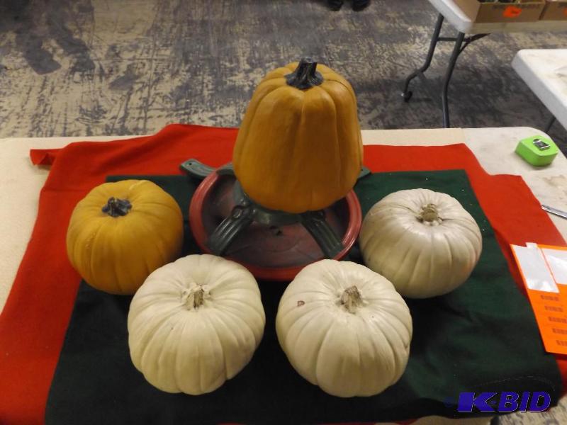 lot 74 image: 5 fake pumpkins and a Christmas tree stand...
