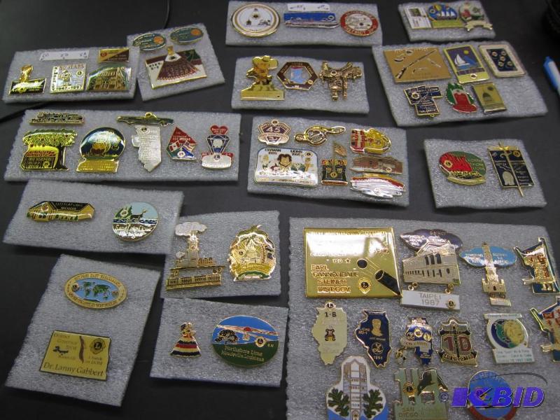 Assortment of Pins