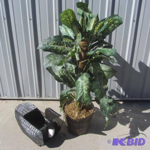 lot 72 image: Loon Planter, Bachelor Plant