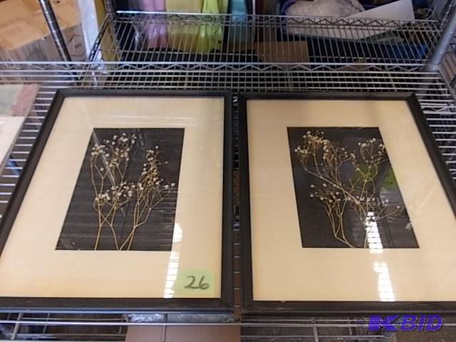2-Framed Babys Breath 19x15...