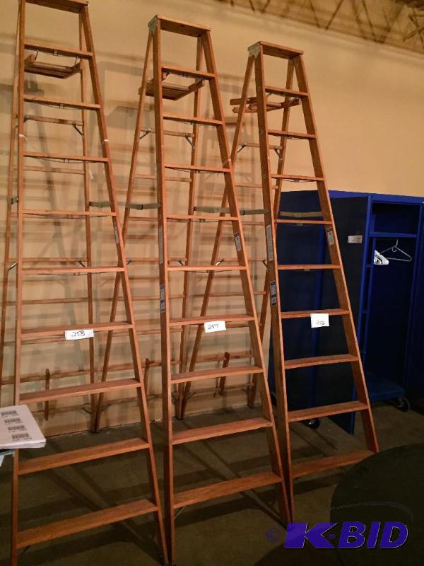 lot 257 image: Werner 10 wooden ladder....