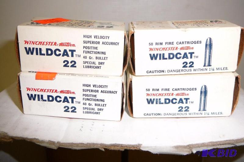 Winchester Wild cat 22 shells Long Rifle 40 g...
