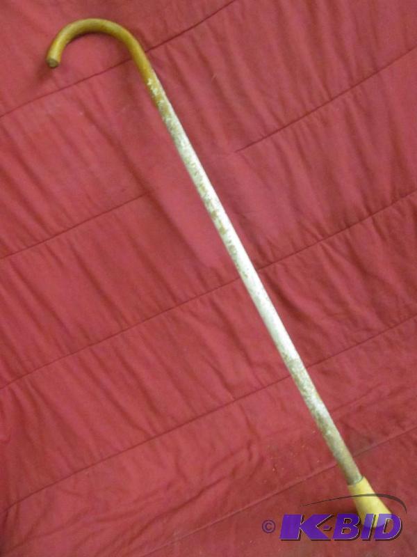 Cane