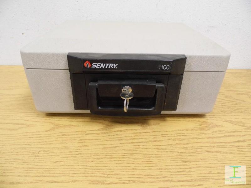 lot 1 image: Sentry 1100 Fire Safe