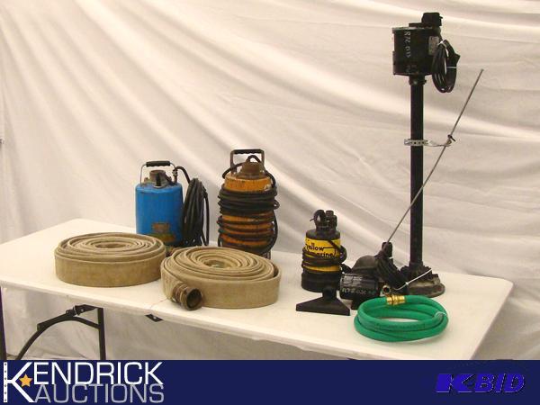lot 81 image: 5 Submersible and Utility Pumps