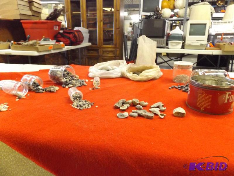 Assorted stone samples, lignite coal, fossils...