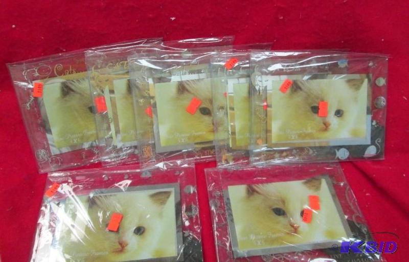Assortment of cat frames...