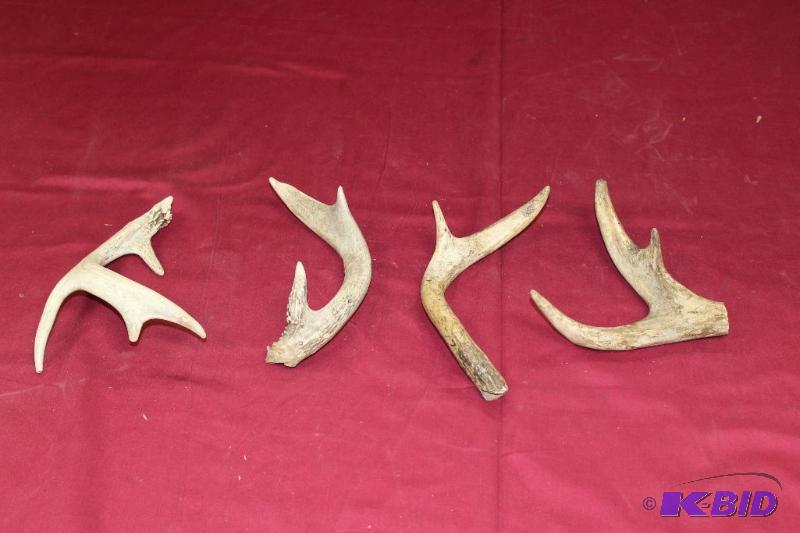 lot 319 image: Deer Antlers  Dog Treats ...