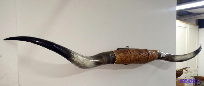 lot 4 image: Texas Longhorn  Highland Cattle Horn Mount
