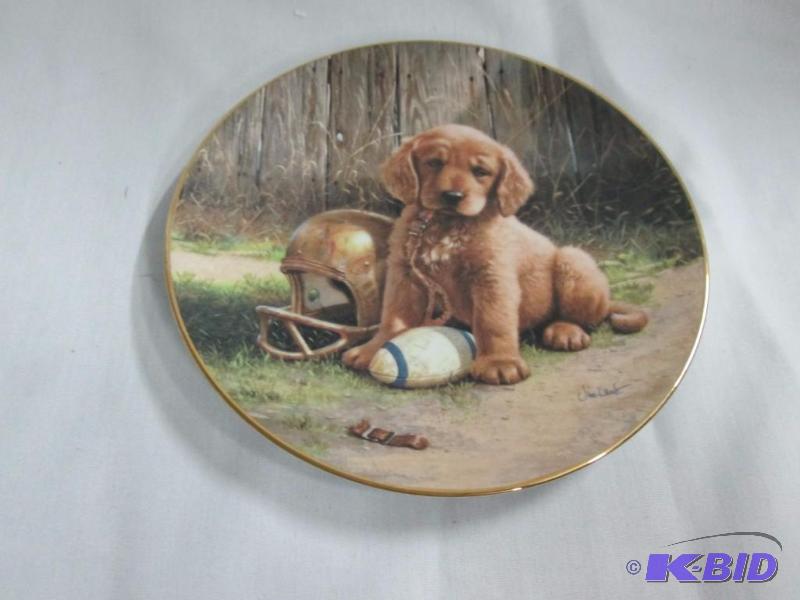 Good Sports Plate Collection