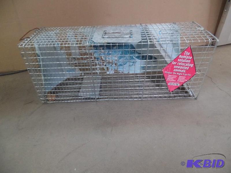 Animal Trap
