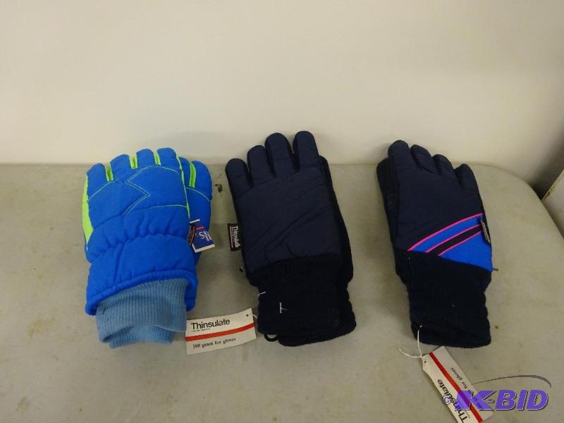 Thinsulate Gloves