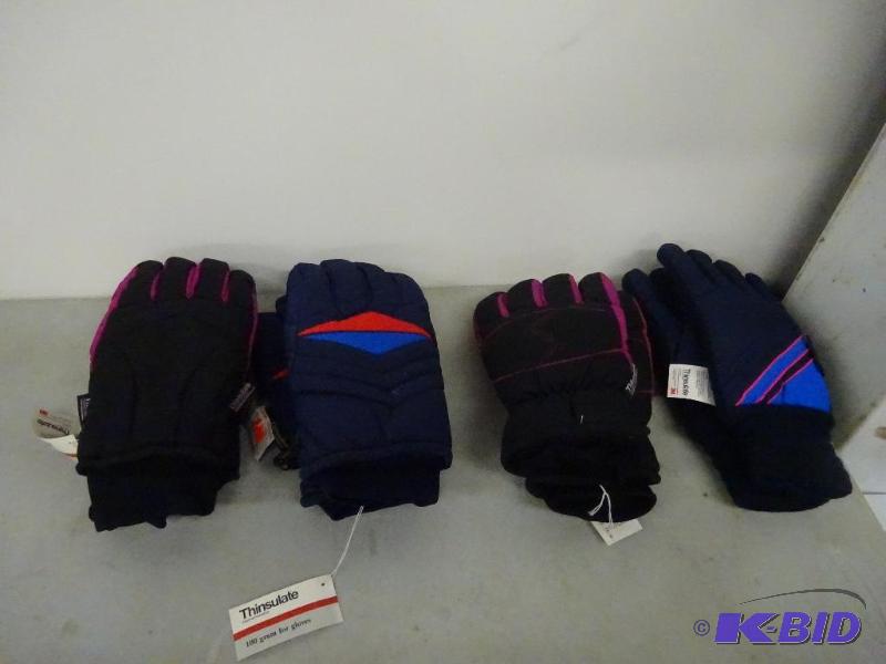 Thinsulate Gloves