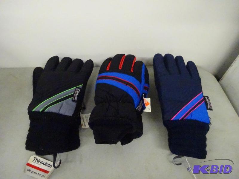 Thinsulate Gloves