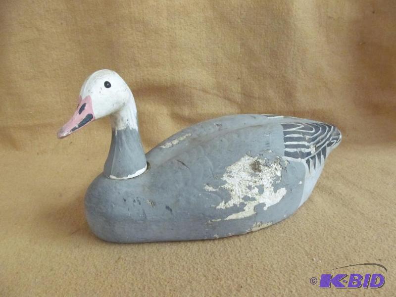 Decoy
