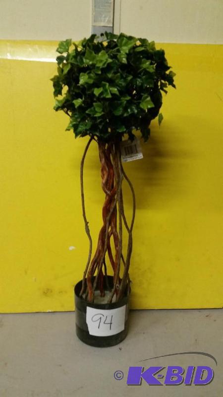 lot 94 image: Decorative Plant