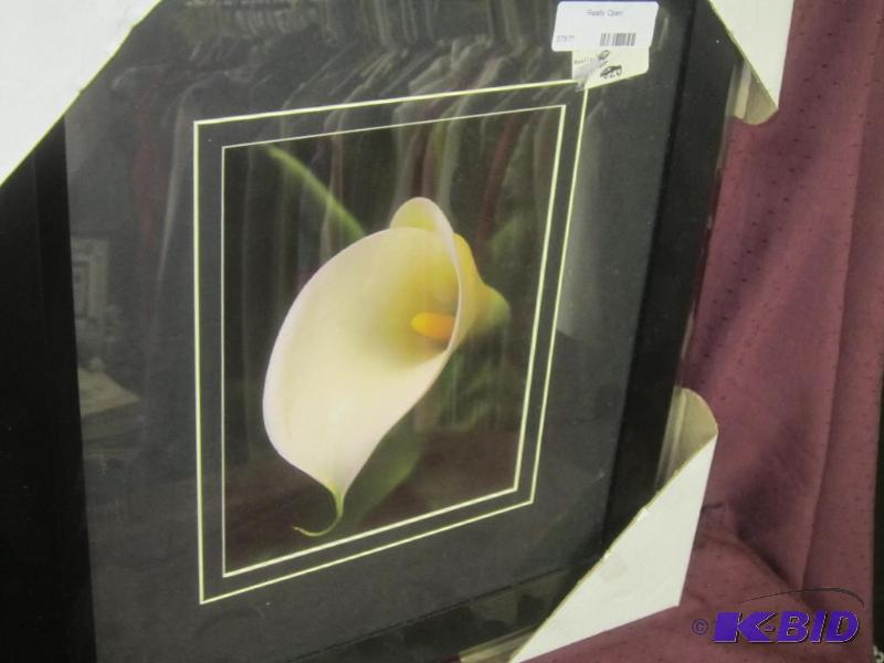 lot 408 image: New   Picture Callalily Picture Black Frame 17 12 x 20 with Double Mat