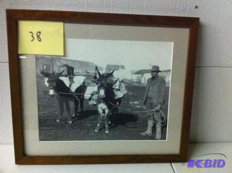 Donkeys and Cowboy