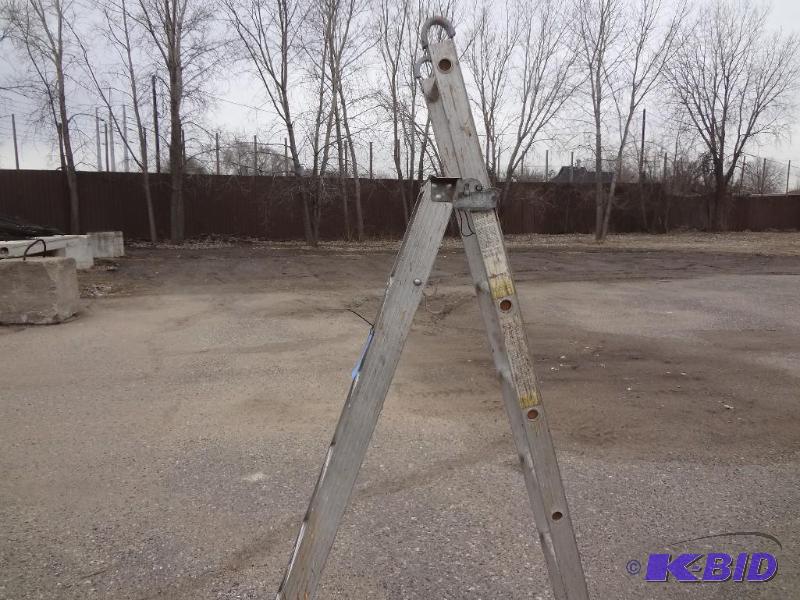 Combo StepExtension Ladder