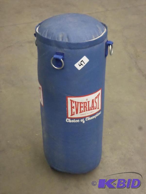 lot 47 image: Everlast Punching Bag, Gloves & Mount Cha...