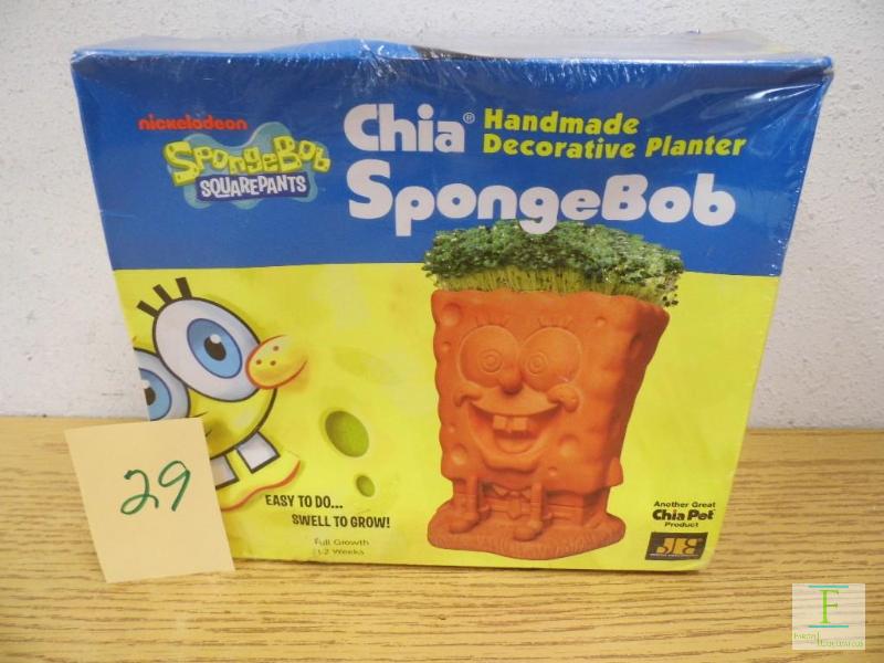 New Chia Pet