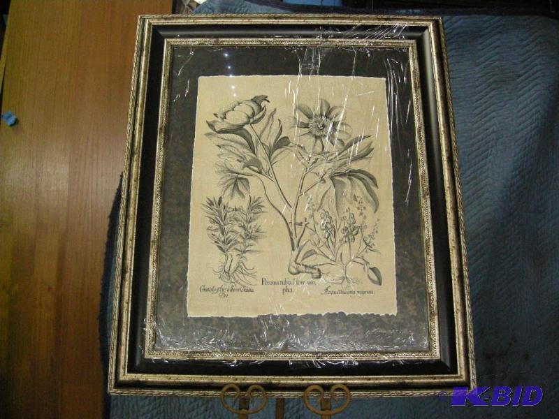 lot 19 image: Framed Besler Poeonia print