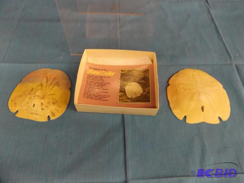 Sand Dollars, one is drawn or painted on souv...