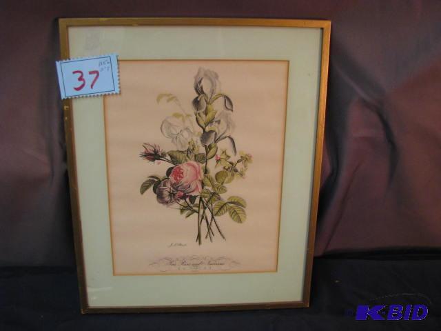 Floral print &quotIris, Roses and Narcissus&...