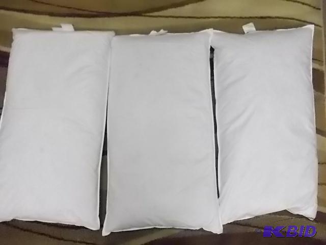 3-100% White Duck Feather Pillows 20x36...