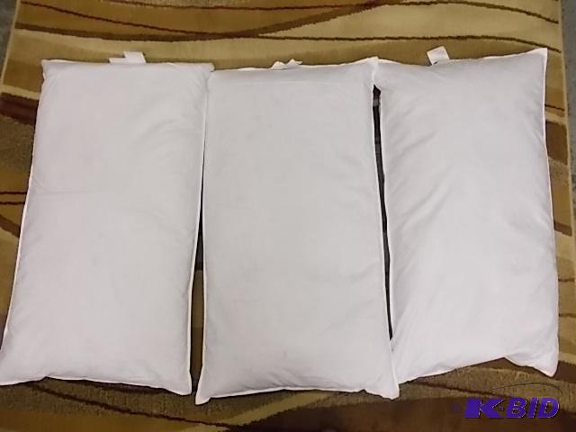 3-100% White Duck Feather Pillows 20x36...